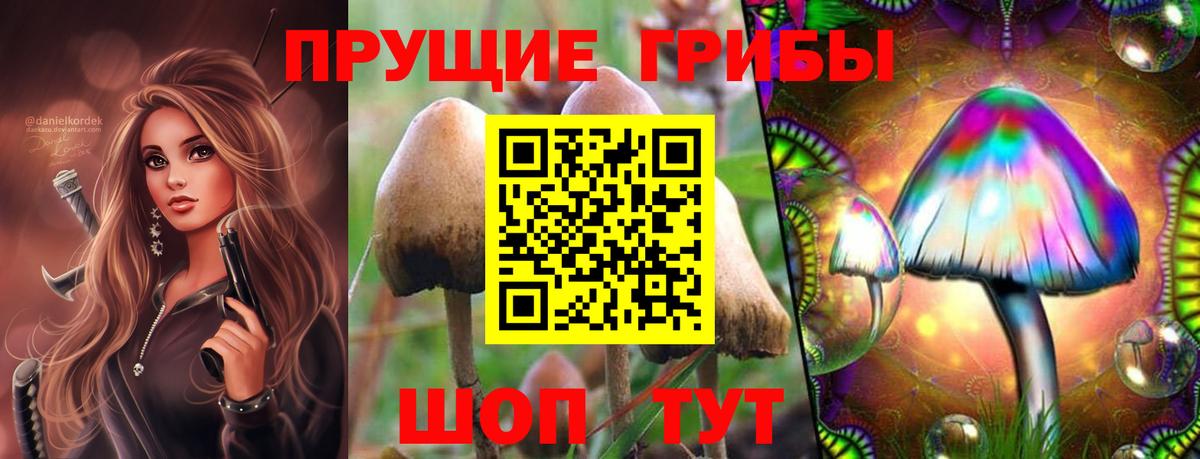 Псилоцибиновые грибы мухоморы Советск