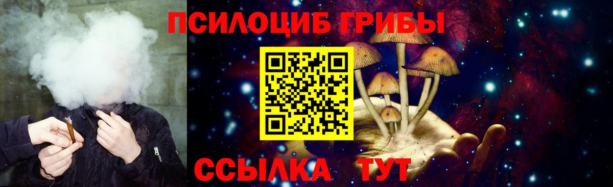Псилоцибиновые грибы ЛСД  Галлюциногенные грибы GOLDEN TEACHER  купить  цена  Советск  Вход с VPN 